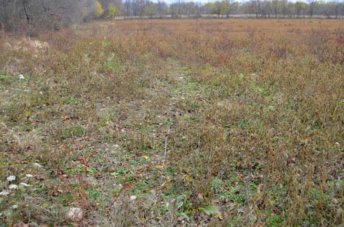 Property photo 14 - 80 Acres & Home - Property Offered in 4 Tracts from 2.3 to 30.0 Acres